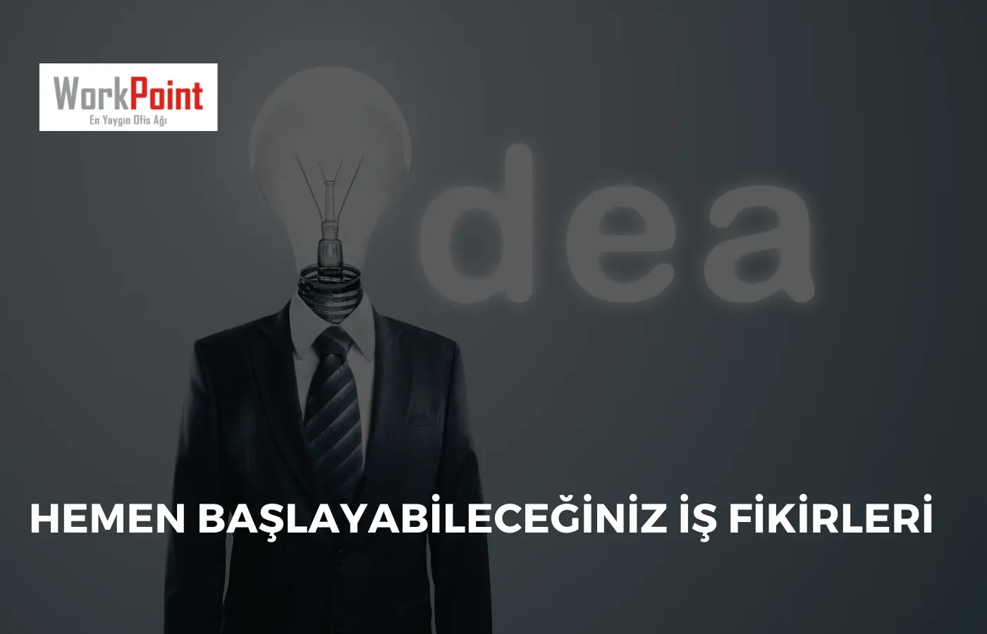 Hemen Başlayabileceğiniz İş Fikirleri